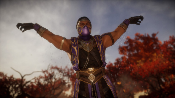 Mortal Kombat 11: Ultimate [PS4, русская версия] в Тюмени